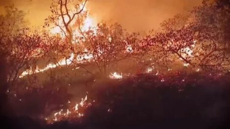 Incendios forestales en Santa Ana de Velasco afectan la educación y salud