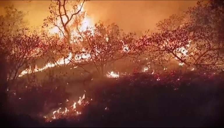 Incendios forestales en Santa Ana de Velasco afectan la educación y salud