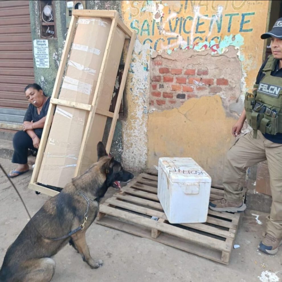 Can antidrogas descubre marihuana en Santa Cruz