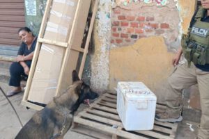 Can antidrogas descubre marihuana en Santa Cruz