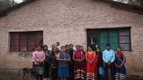 Autonomía económica mujeres guaraníes en la producción de miel de abejas señoritas