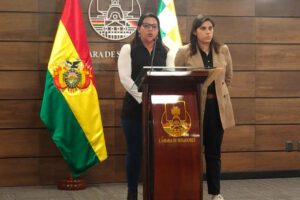 Proyecto de ley gasto público elecciones