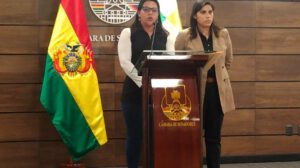 Proyecto de ley gasto público elecciones