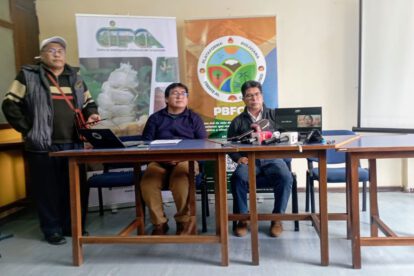 Transgénicos en Bolivia y su impacto ambiental