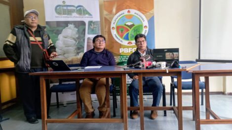 Transgénicos en Bolivia y su impacto ambiental