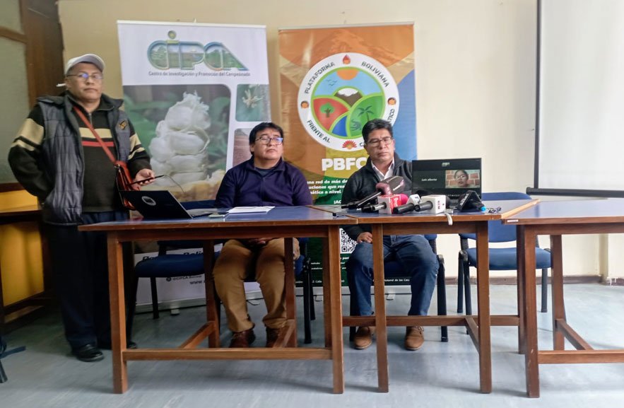 Transgénicos en Bolivia y su impacto ambiental