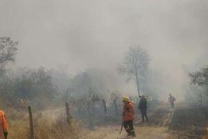 Incendios forestales en Bolivia