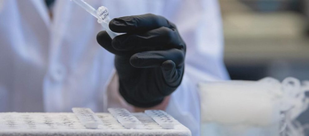 Fármaco contra el cáncer podría ser clave en tratamiento del Alzheimer