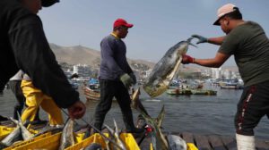 Crecimiento del PIB en Perú impulsado por la demanda interna
