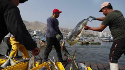 Crecimiento del PIB en Perú impulsado por la demanda interna