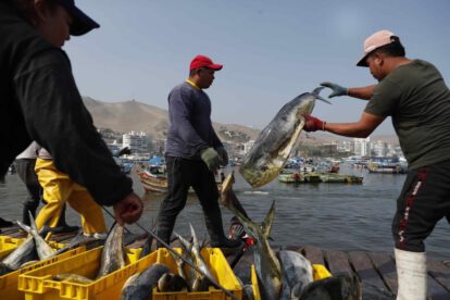 Crecimiento del PIB en Perú impulsado por la demanda interna