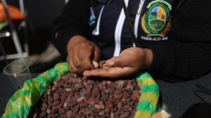 Feria Bosques Guardianes del Agua en Bolivia