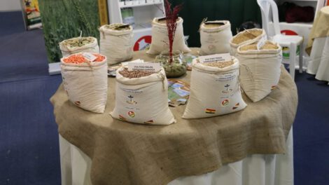 Aumento de ingresos EEPS