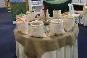 Aumento de ingresos EEPS