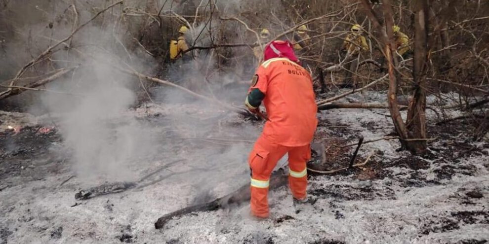 Incendios forestales y procesos penales impulsados por la ABT