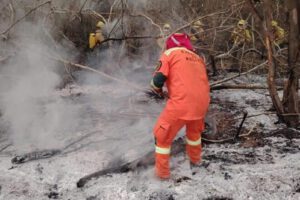 Incendios forestales y procesos penales impulsados por la ABT