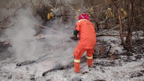Incendios forestales y procesos penales impulsados por la ABT