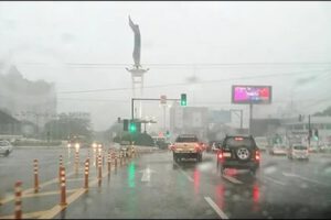 Pronóstico del tiempo en Santa Cruz