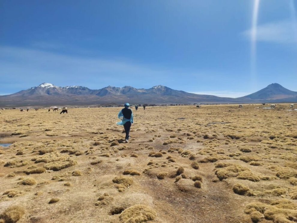 Cuerpo de migrante venezolana fallecida en frontera Chile-Bolivia