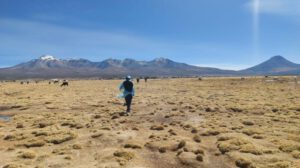 migrante venezolana encontrada sin vida en la frontera Chile-Bolivia