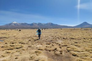 migrante venezolana encontrada sin vida en la frontera Chile-Bolivia