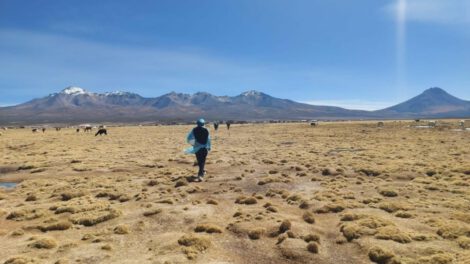 migrante venezolana encontrada sin vida en la frontera Chile-Bolivia