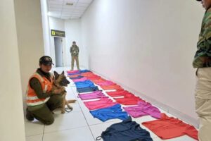 Can Uvha descubre cocaína camuflada en botones de blusas