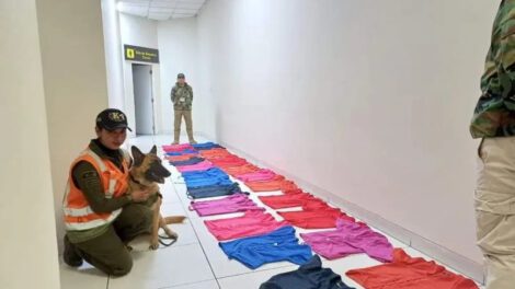 Can Uvha descubre cocaína camuflada en botones de blusas
