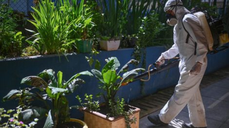 Enfermedad del oropouche se expande en América Latina