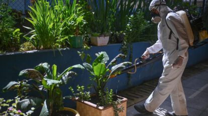 Enfermedad del oropouche se expande en 5 países de América Latina