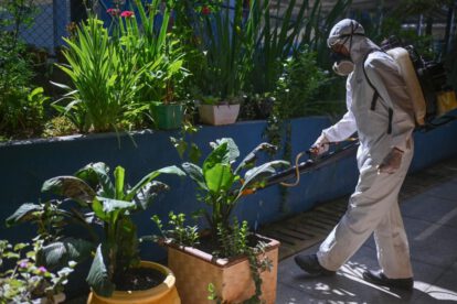 Enfermedad del oropouche se expande en 5 países de América Latina