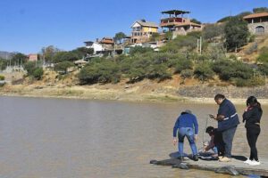 Descontaminación de La Angostura asegura la vida de los peces