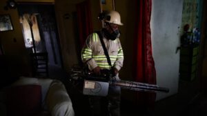 Brote de dengue en Panamá con más de 13 mil casos y 28 fallecimientos