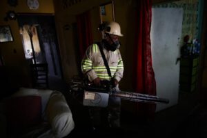 Brote de dengue en Panamá con más de 13 mil casos y 28 fallecimientos