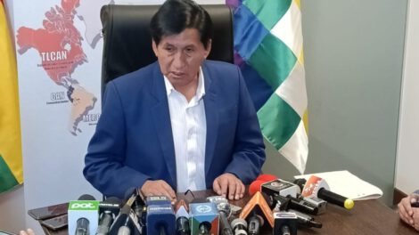 Referéndum en Bolivia solicitado por el senador Félix Ajpi