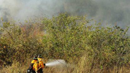 Delegación boliviana coordina acciones contra incendios forestales