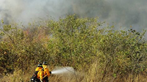 Delegación boliviana coordina acciones contra incendios forestales