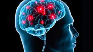 El amor visto desde el cerebro y su activación en diferentes áreas
