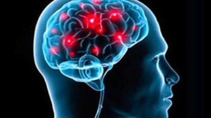 El amor visto desde el cerebro y su activación en diferentes áreas