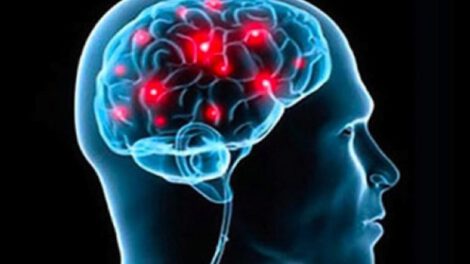 El amor visto desde el cerebro y su activación en diferentes áreas