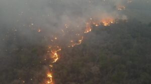 Incendios en Santa Cruz superan la cantidad de hectáreas afectadas en 2023