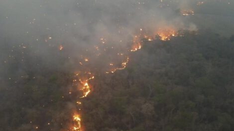 Incendios en Santa Cruz superan la cantidad de hectáreas afectadas en 2023