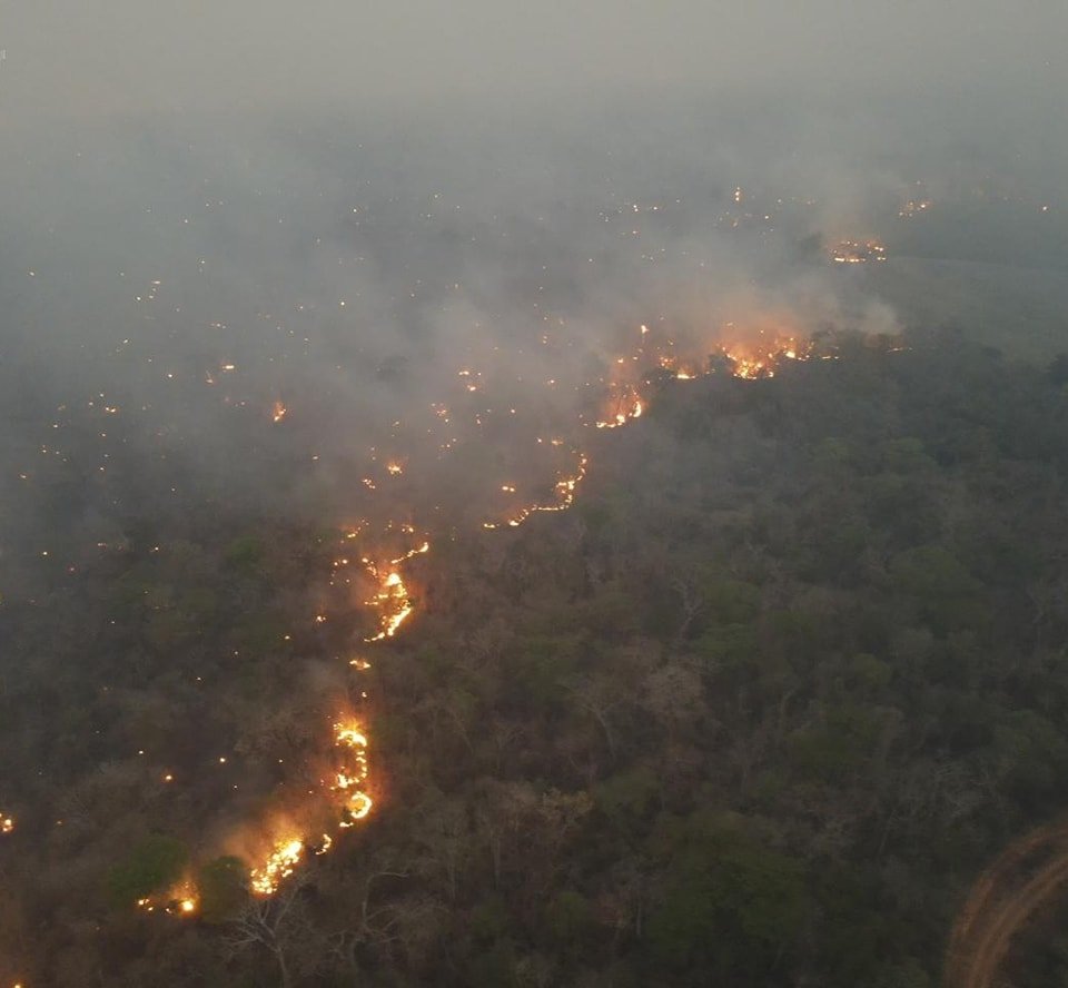 Incendios en Santa Cruz superan la cantidad de hectáreas afectadas en 2023