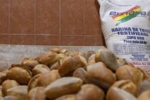 suministro de harina para panificadores en Cochabamba