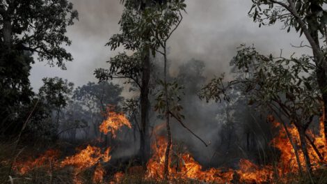 Incendios en Pantanal y Amazonia