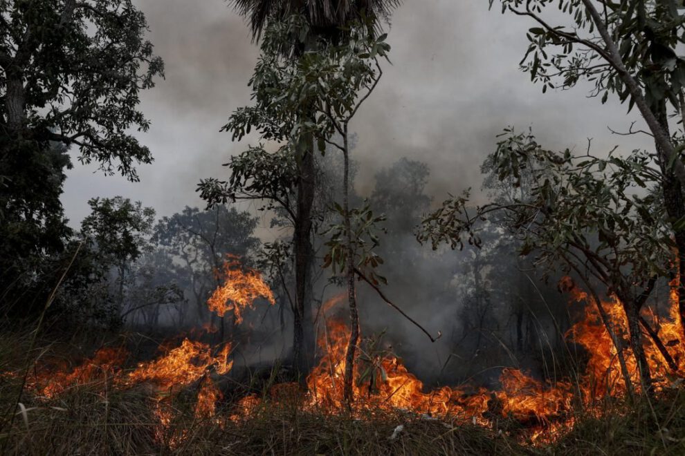 Incendios en Pantanal y Amazonia
