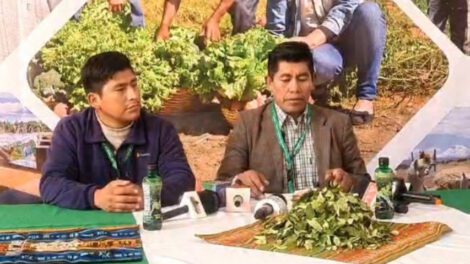 Viceministro de Coca Ernesto Mamani desmiente rumores sobre vigencia de carnets