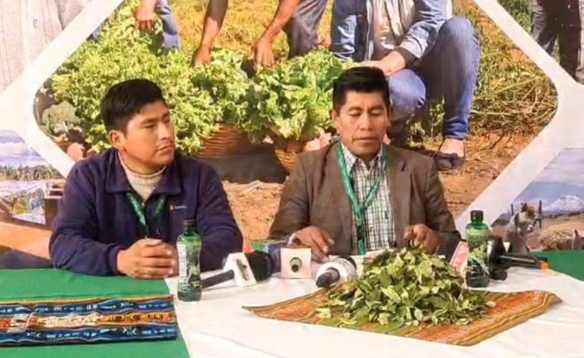 Viceministro de Coca Ernesto Mamani desmiente rumores sobre vigencia de carnets