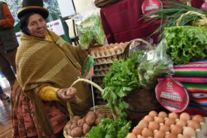 Ferias Del Campo a la Olla en El Alto, Cochabamba y Santa Cruz