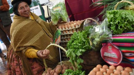 Ferias Del Campo a la Olla en El Alto, Cochabamba y Santa Cruz